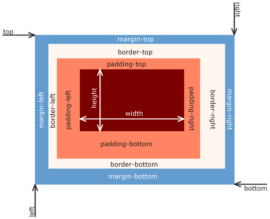 Diagram of CSS box model