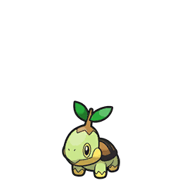 turtwig
